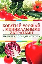 Богатый урожай с минимальными затратами. Правила посадки и ухода