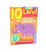 IQ Многоразовые карточки с маркером.5+ Загадочные лабиринты