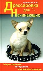 Дрессировка для начинающих