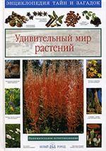 Удивительный мир растений. Занимательное естествознание