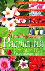 Красивоцветущие растения круглый год
