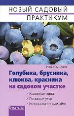 Голубика, брусника, клюква, красника на садовом участке. Надежные сорта. Посадка и уход. Использование в дизайне