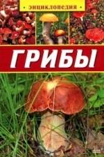 Грибы. Энциклопедия
