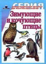 Зимующие и кочующие птицы