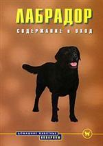 Лабрадор. Содержание и уход