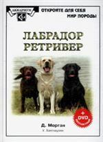 Лабрадор ретривер