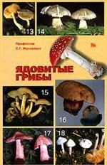 Ядовитые грибы