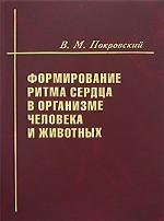 Формирование ритма сердца в организме человека и животных
