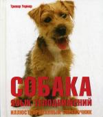 Собака. Язык телодвижений