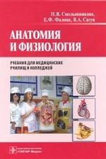 Анатомия и физиология
