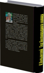 Год беспощадного солнца. Роман-триллер