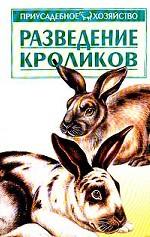 Разведение кроликов