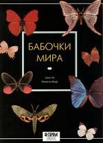 Бабочки мира