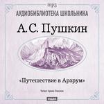 Аудиобиблиотека школьника. Пушкин А.С. "Путешествие в Арзрум". (Читает Арина Ланская)