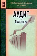 Аудит: Практикум, 2-е издание