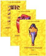 Анатомия лошади