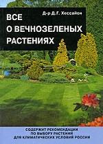 Все о вечнозеленых растениях