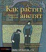 Как растят аистят