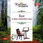 Классика на природе. Бах И. и шум тенистого леса