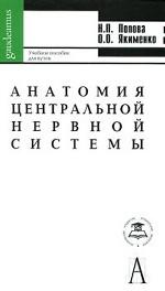 Анатомия центральной нервной системы