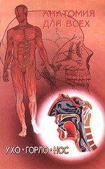 Ухо, горло, нос