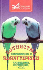 Волнистые попугайчики