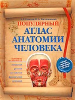 Популярный атлас анатомии человека