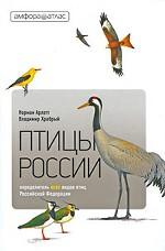 Птицы России