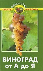 Виноград от А до Я
