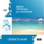 Звуки природы для школьников. Свежесть моря