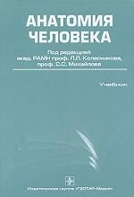 Анатомия человека