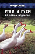 Утки и гуси на вашем подворье