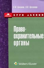 Правоохранительные органы. Курс лекций в схемах и комментариях