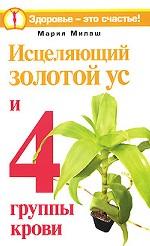 Исцеляющий Золотой ус и 4 группы крови