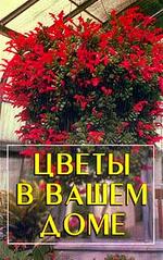 Цветы в вашем доме