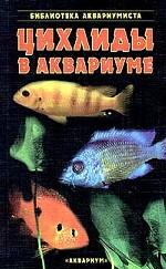 Цихлиды в аквариуме