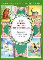 Как кошка Шкурка перепостилась. Рассказы о животных для детей