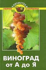 Виноград от А до Я