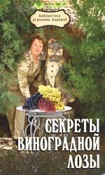 Секреты виноградной лозы