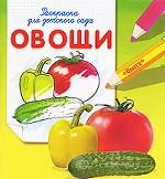 Овощи. Раскраска для детского сада