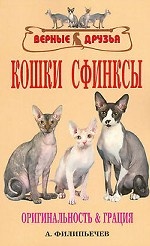 Кошки сфинксы