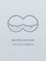 Conciones ad clerum : 1879-1880