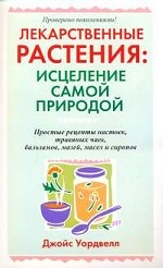 Лекарственные растения: исцеление самой природой