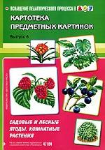 Картотека предметных картинок. Выпуск 6. Садовые и лесные ягоды. Комнатные растения