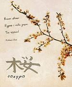 Сакура