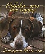 Собака - это мое сердце, бьющееся возле ног
