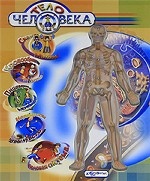 Тело человека