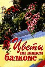 Цветы на вашем балконе