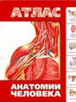 Атлас анатомии человека