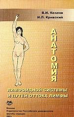 Анатомия лимфоидной системы и путей оттока лимфы